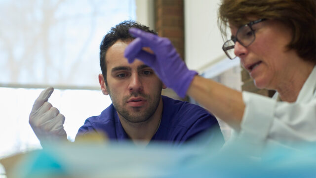 Nyu Pa Program Department of Physician Assistant Studies | New York Tech