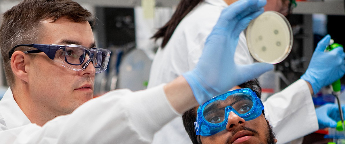 Assistant Professor Bryan Gibb and Hamza Nagarwala looking at a petri dish.