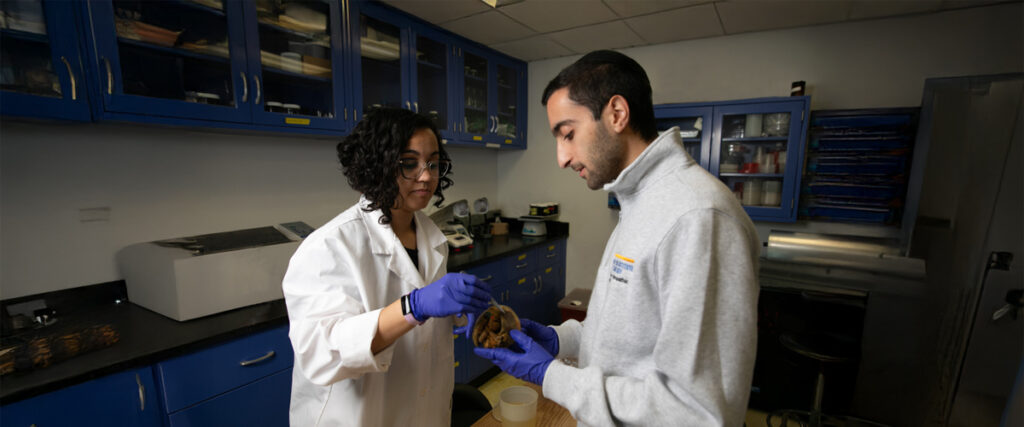 Staining Lab | New York Tech